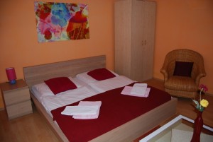 DSC 0206